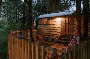 Llethrau Forest & Nature Retreats
